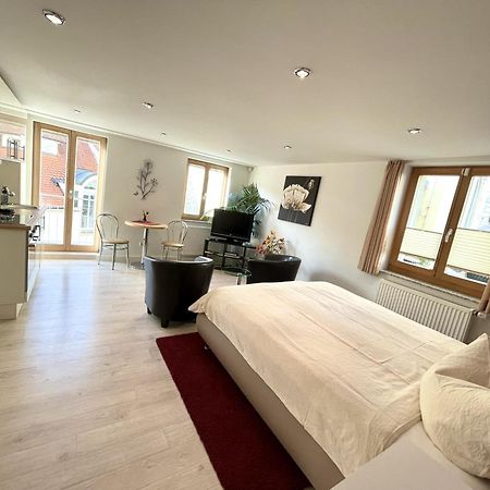 Apartment Am Schloss ジクマリンゲン エクステリア 写真