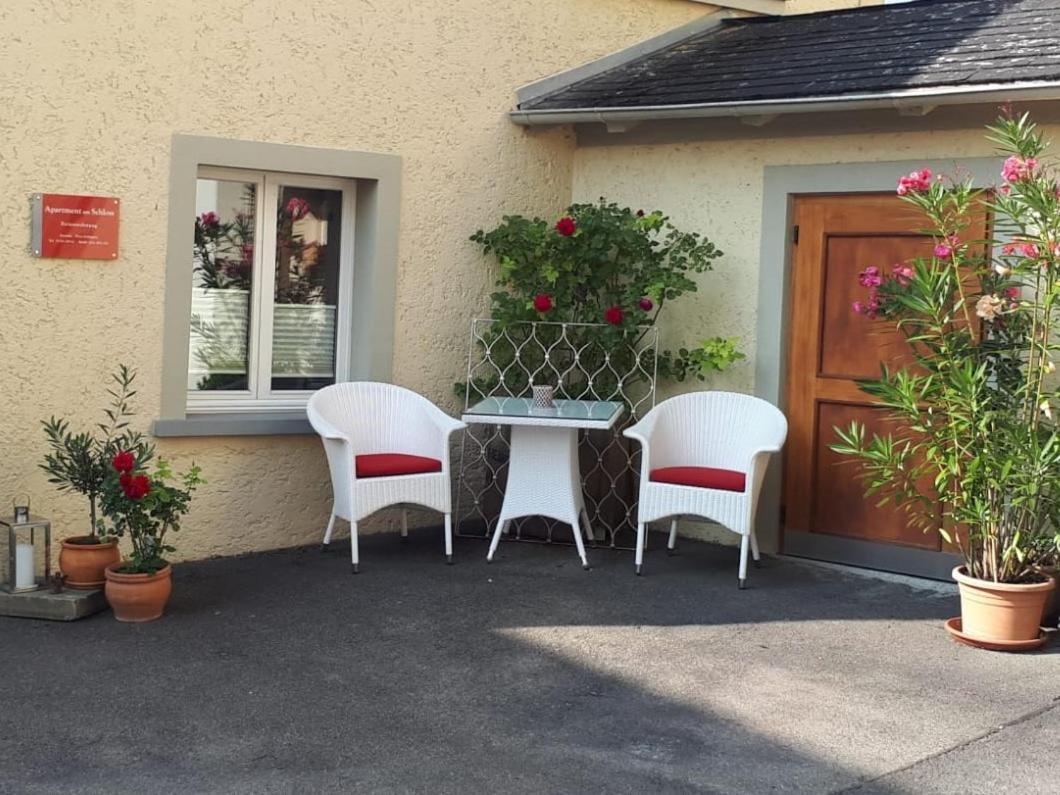 Apartment Am Schloss ジクマリンゲン エクステリア 写真