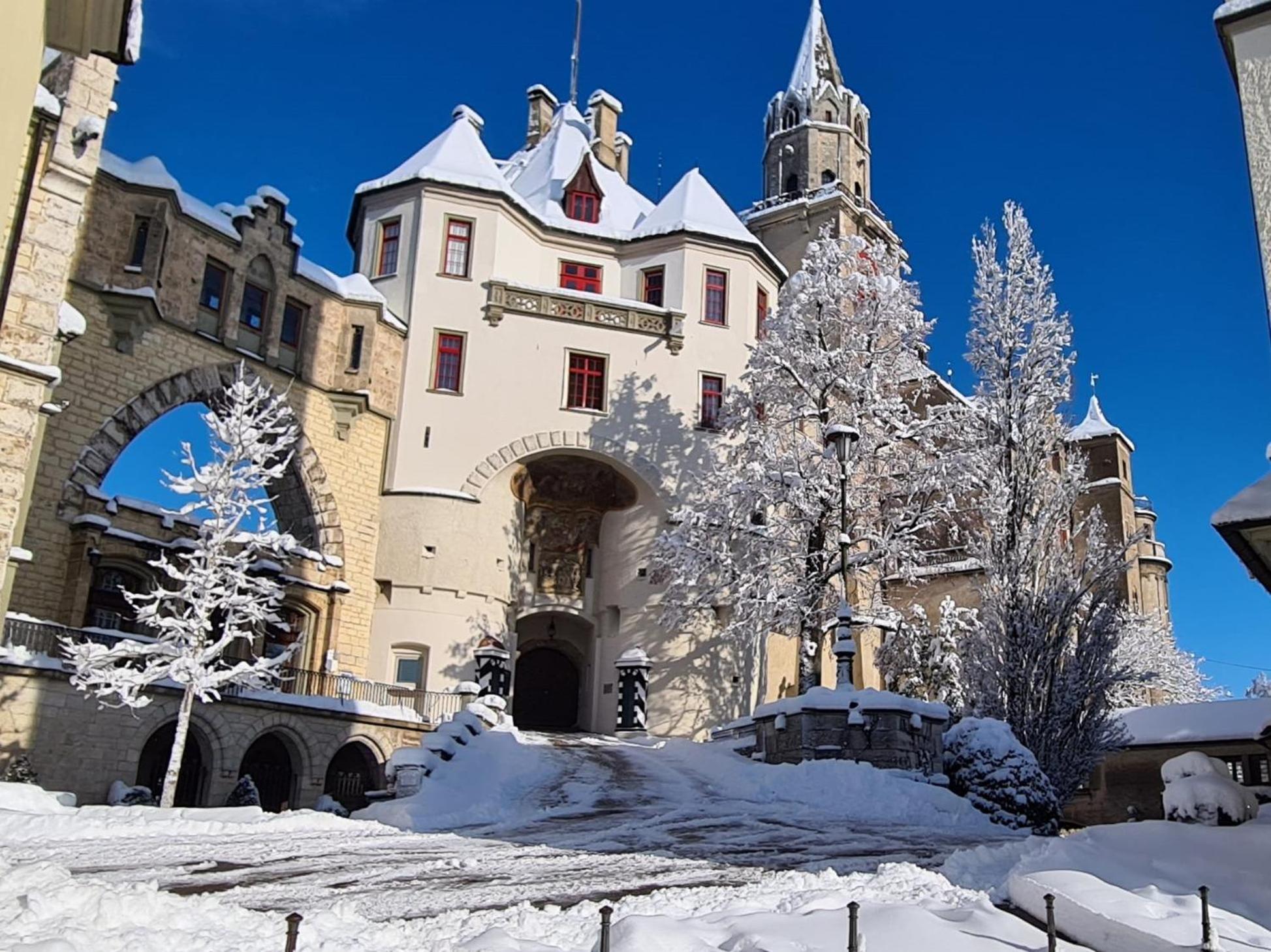 Apartment Am Schloss ジクマリンゲン エクステリア 写真